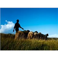 Herdsman for the day - Printed Voucher