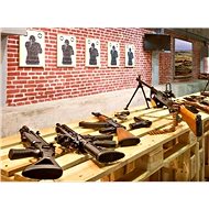 Shooting from army rifles - Printed Voucher