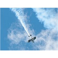 Acrobatic flight in the Eagle racer - Printed Voucher