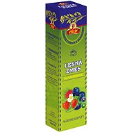 AGROKARPATY Tea Forest Mix 100g - Tea