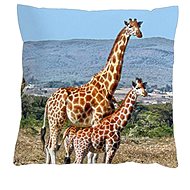 4sleep Pillowcase 40 × 40 cm, zipped velour - Giraffes - Pillowcase