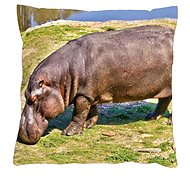 4sleep Pillowcase 40 × 40 cm, zipped velour - Hippo - Pillowcase