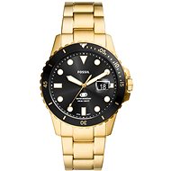Fossil Fossil Blue men's round watch FS6035 - Watch