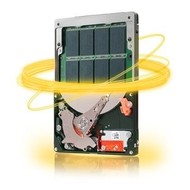 Seagate Momentus XT 250GB - Hard Drive