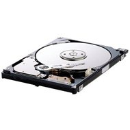 Seagate Momentus SpinPoint M8 250GB - Hard Drive