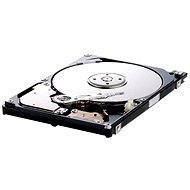 Seagate Momentus SpinPoint M8 1000GB - Pevný disk