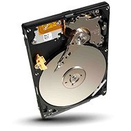 Seagate Video 500GB - Pevný disk