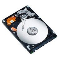 Seagate 2,5" Momentus 5400 FDE.3 160GB - Pevný disk