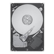 Seagate Barracuda 7200.12 750GB - Hard Drive