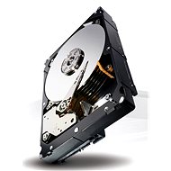  Seagate Constellation ES.3 1000 GB  - Hard Drive