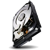  Seagate Constellation CS 2000 GB  - Hard Drive