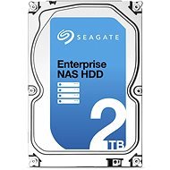 Seagate Enterprise-NAS-Festplatte 2000 GB - Festplatte
