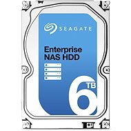  Seagate Enterprise NAS HDD 6000 GB  - Hard Drive