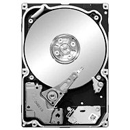 Seagate Constellation.2 500GB - Hard Drive