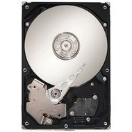 Seagate SV35.3 1TB - Hard Drive