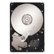 Seagate SV35.5 500GB - Pevný disk