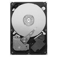 Seagate Pipeline 160GB - Hard Drive