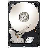Seagate HDD NAS 6000 GB Rescue + - Hard Drive