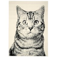 Alfa Carpets Kusový koberec Cat grey 120 × 170 cm - Koberec
