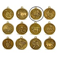 FENGSHUIHARMONY TYGR Zodiac Coin - Charm