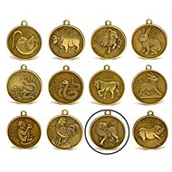 FENGSHUIHARMONY Dog Coins Zodiac - Charm