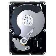 Samsung SpinPoint F3 500GB - Hard Drive