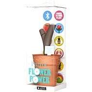 Parrot Flower Power Brown - Thermometer