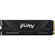 Kingston FURY Renegade G5 8 TB - SSD-Festplatte