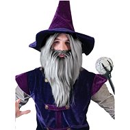 FUNNY FASHION Wig and beard wizard - Wig