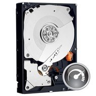 WD Caviar Black 500GB 32MB cache - Pevný disk