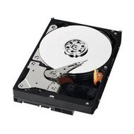 WESTERN DIGITAL Caviar AV Green Power 320GB - Hard Drive