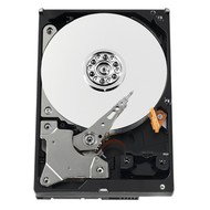 Hard Drive WESTERN DIGITAL Caviar AV Green Power 750GB - Hard Drive