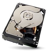Seagate Enterprise Capacity 2TB SAS - Hard Drive