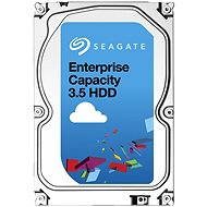 Seagate Enterprise Capacity 8TB SAS - Hard Drive