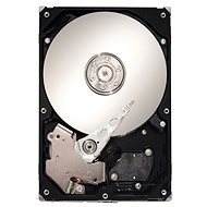  Seagate SV35.6 series 3000 GB + Rescue  - Hard Drive