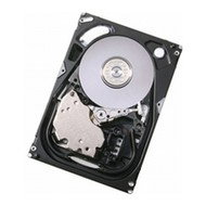 Pevný disk HITACHI  Ultrastar 15K450 300GB SAS - Hard Drive