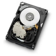 Hitachi Ultrastar 15K600 450GB - Hard Drive