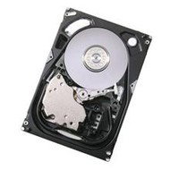 Hitachi Ultrastar 15K600 600GB - Hard Drive