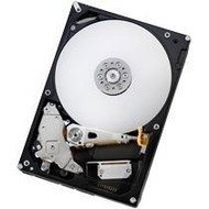 Hitachi Ultrastar A7K2000 1TB - Hard Drive