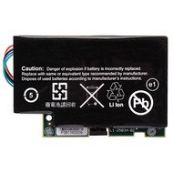3WARE Battery Backup Unit 07 - Disposable Battery