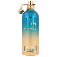 Montale Paris Aoud Lagoon EdP 100 ml Uni - Eau de Parfum