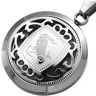 Gaira Zodiac pendant 3055-23 Capricorn - Charm