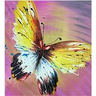 Gaira Butterfly M2250 - Painting by Numbers