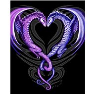 Gaira Heart of Dragons M592YS - Painting by Numbers