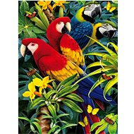Gaira Parrots M991142 - Painting by Numbers
