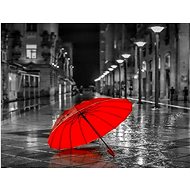 Gaira Red umbrella M991463 - Painting by Numbers
