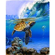 Gaira Sea Turtle M991468 - Painting by Numbers
