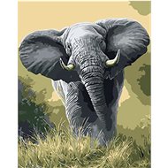 Gaira Elephant M991569 - Painting by Numbers