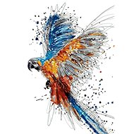 Gaira Parrot M991861 - Painting by Numbers