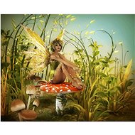Gaira Winged Elf M991882 - Painting by Numbers
